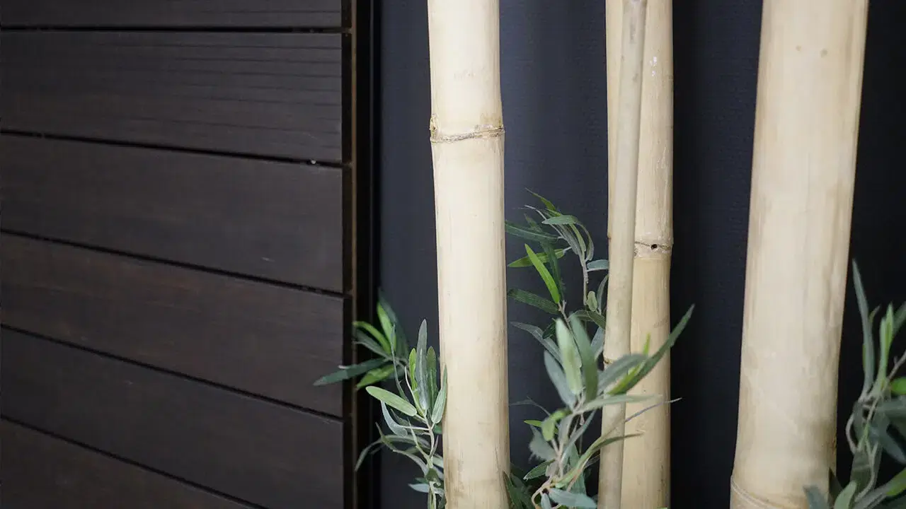 Bambusové podlahy expozice