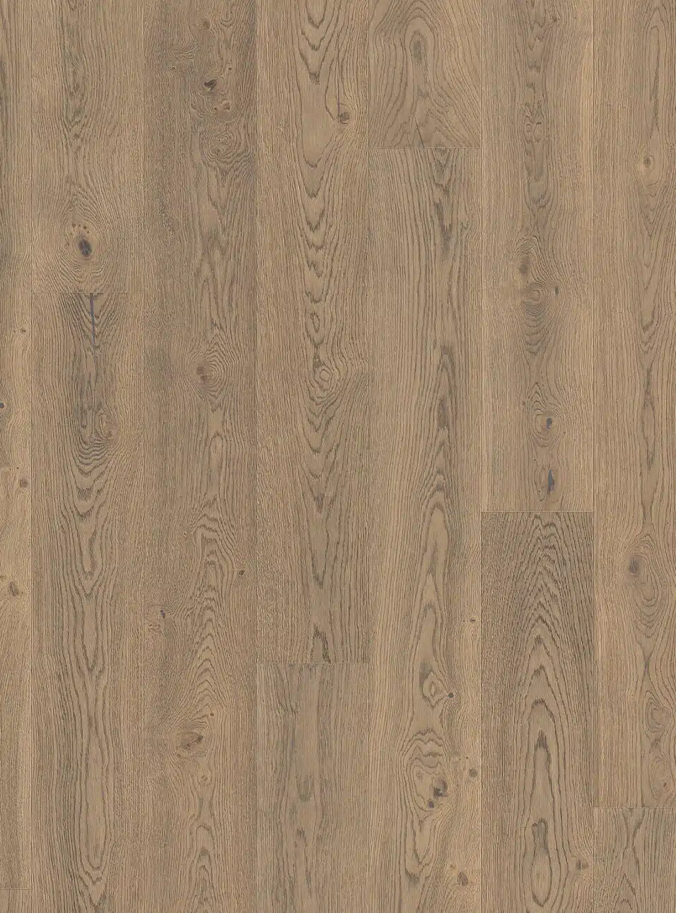 Haro Plaza 2500 Dub Universal tabákově šedý, hluboko kartáčovaný, 4V, naturaLin plus